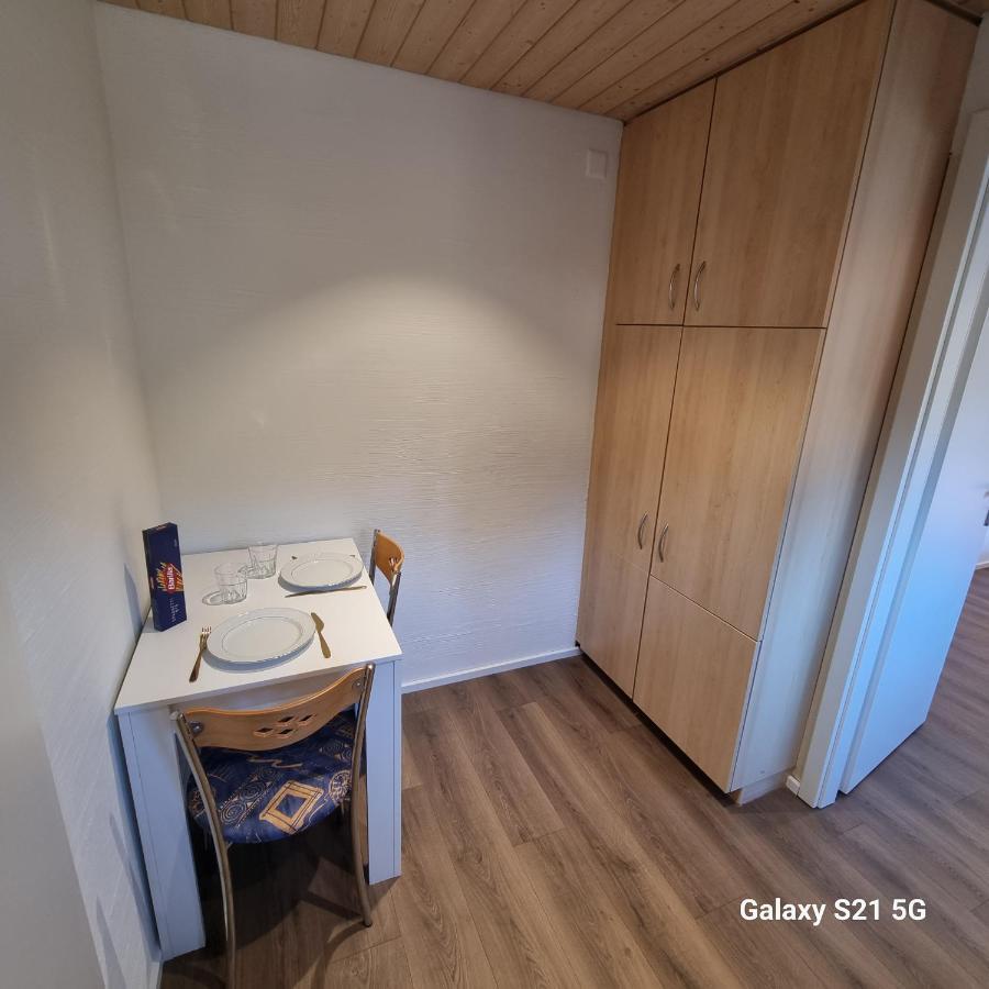 Mountain - Lake Apartment 3 Wilderswil Zewnętrze zdjęcie