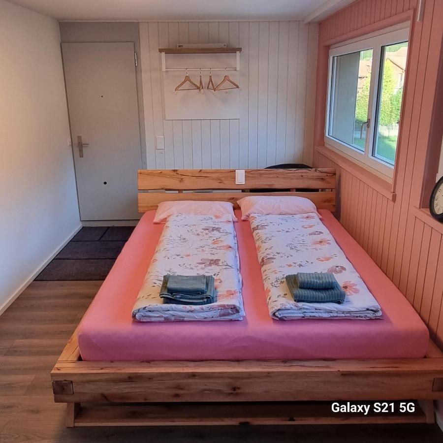 Mountain - Lake Apartment 3 Wilderswil Zewnętrze zdjęcie